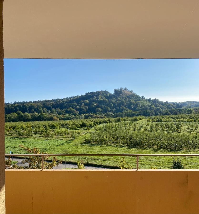Apartment- Metzingen Μέτσινγκεν Εξωτερικό φωτογραφία